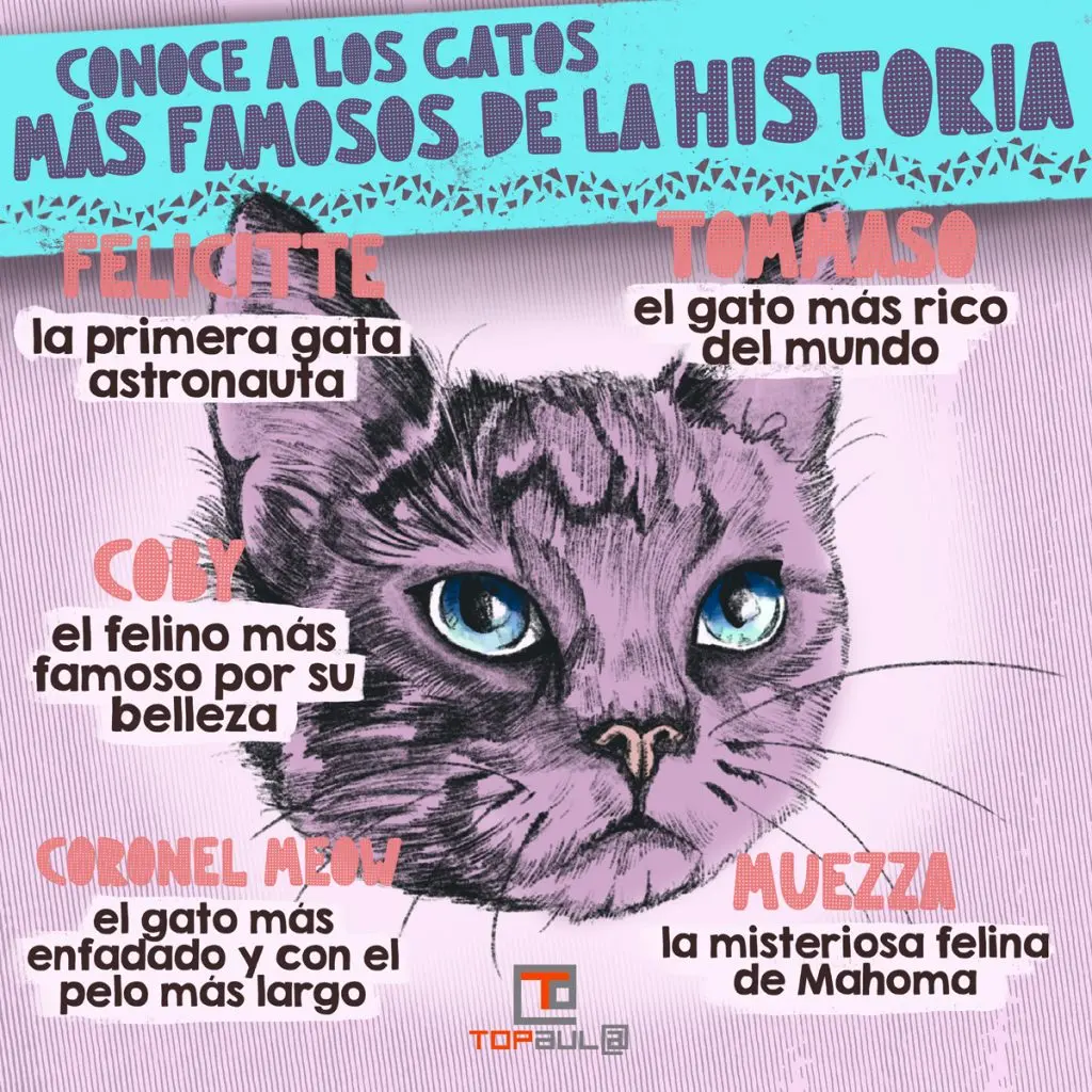 Infografia sobre els gats més famosos de la història