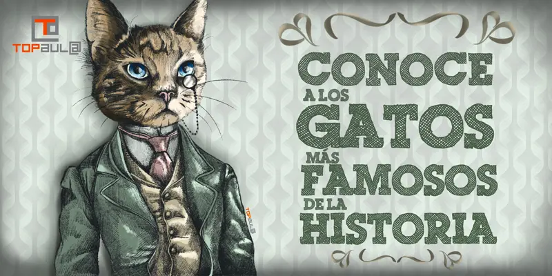 Coneix els gats més famosos de la història