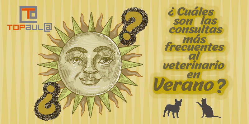 ¿Cuáles son las consultas más frecuentes al veterinario en verano? - www.topaulasalud.com