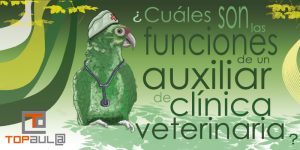 ¿Cuáles son las funciones de un auxiliar de clínica veterinaria? - www.topaulasalud.com