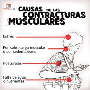 Infografía ¿Por qué sufrimos contracturas musculares? - www.topaulasalud.com