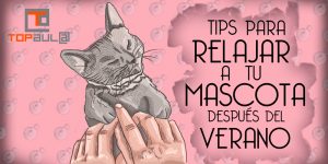 6 tips para relajar a tu mascota después del verano - www.topaulasalud.com