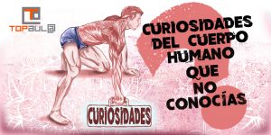 Curiosidades del cuerpo humano que no conocías - www.topaulasalud.com
