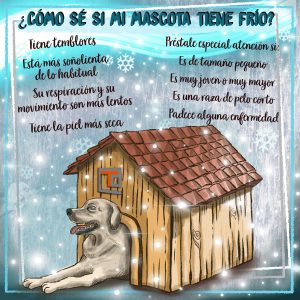 Infografía Como proteger a nuestra mascota del frío - www.topaula.com