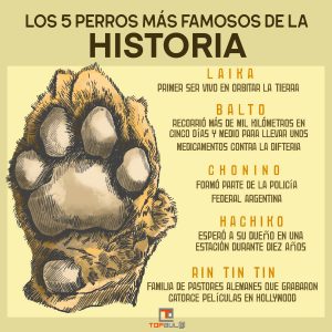 Infografía - Conoces a los 5 perros más famosos de la historia - www.topaula.com