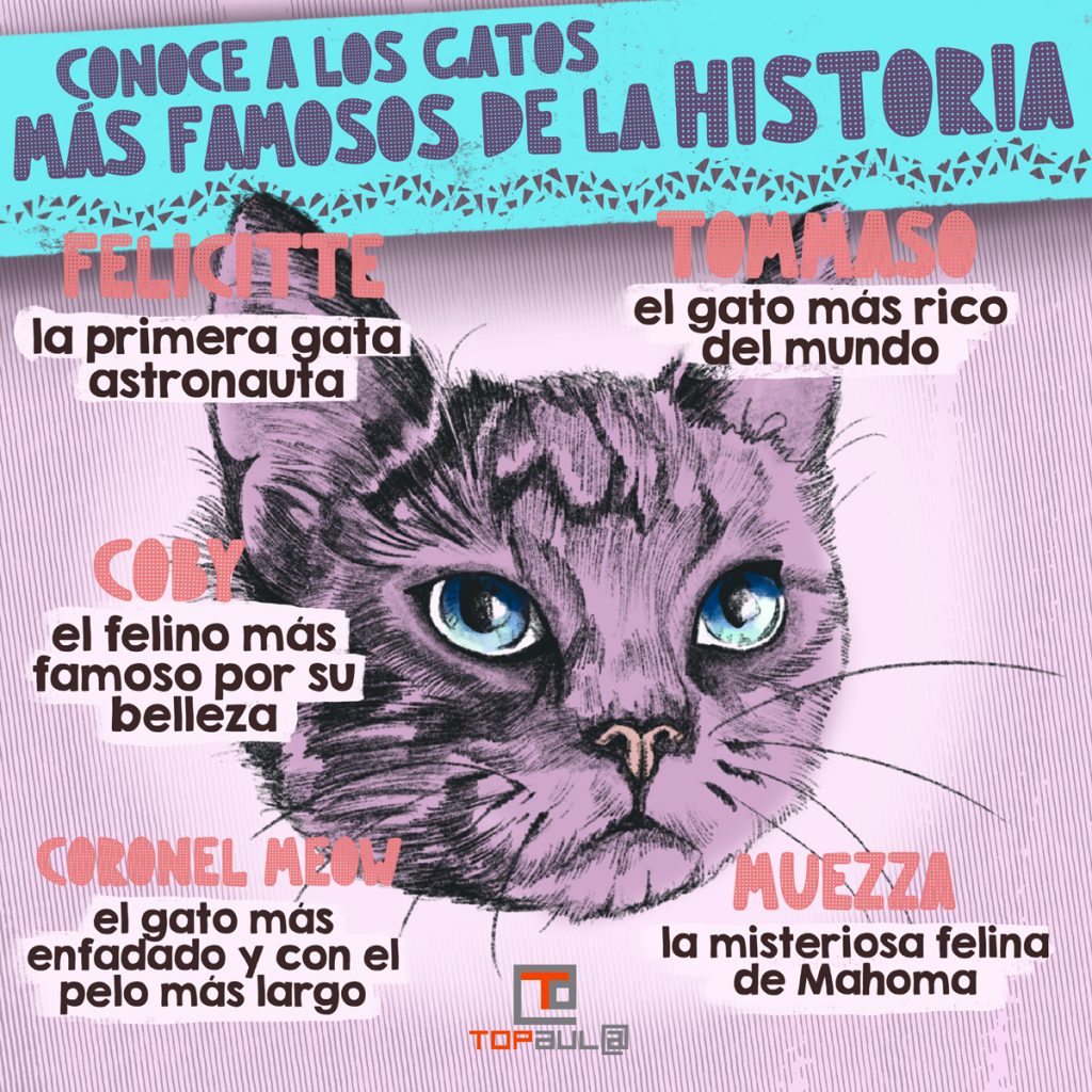 Infografía - Conoce a los gatos más famosos de la historia - www.topaula.com