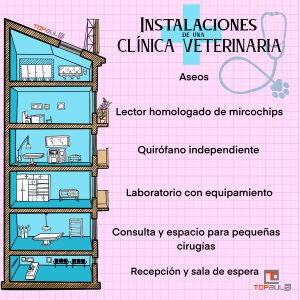 Infografía - Cuáles son los requisitos para abrir una clínica veterinaria - www.topaula.com